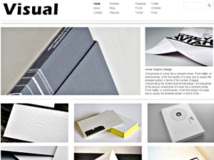 WordPress theme Visual Theme