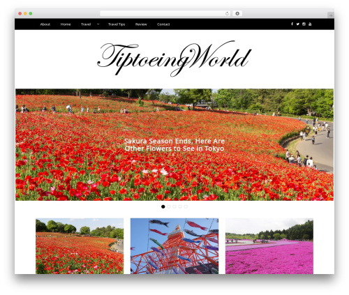 Writee best WordPress theme - tiptoeingworld.com Writee best WordPress theme - tiptoeingworld.com