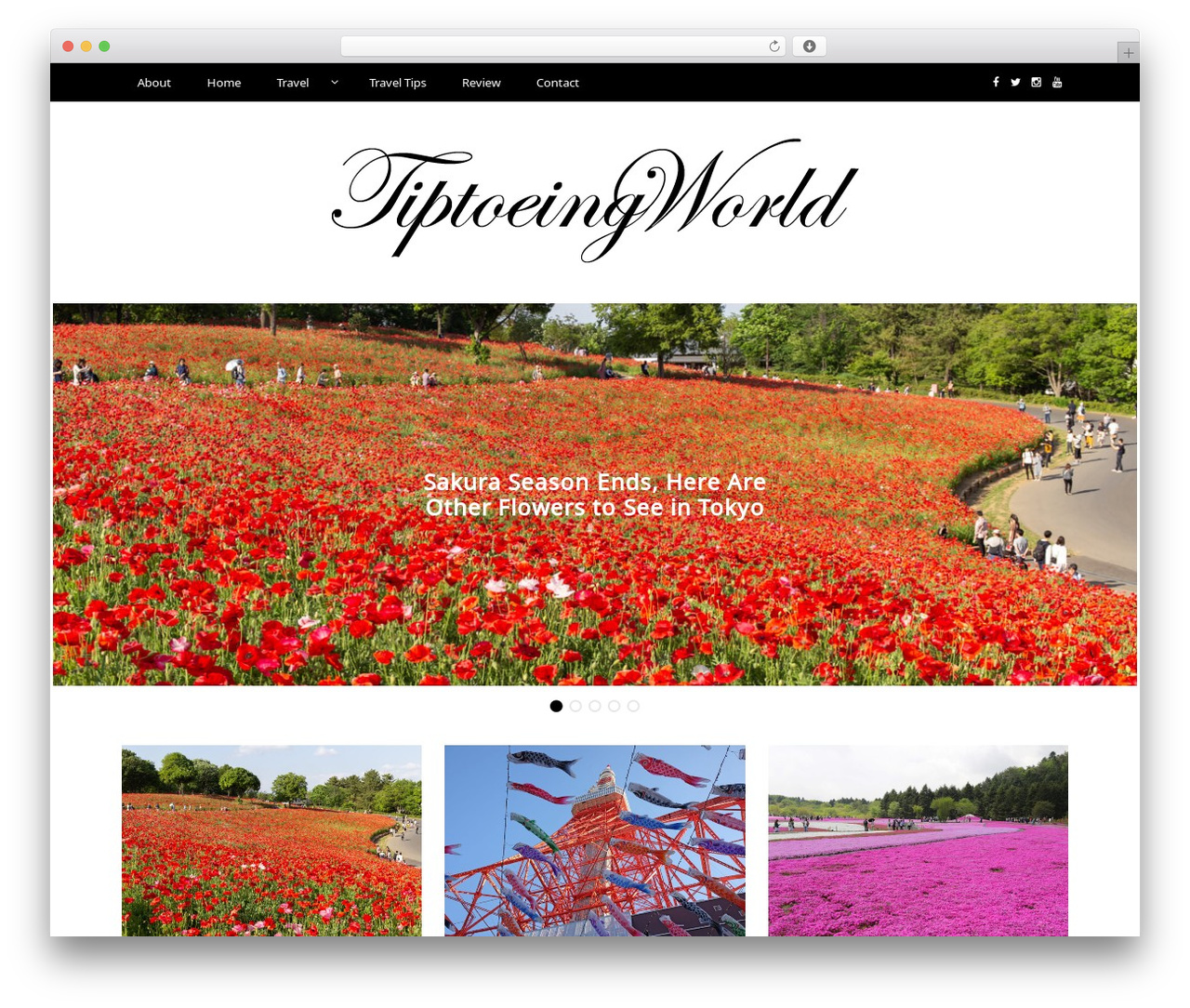 Writee best WordPress theme - tiptoeingworld.com Writee best WordPress theme - tiptoeingworld.com