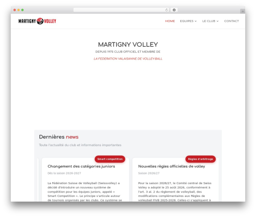 Tiktok feeds pro WordPress plugin - vbcmartigny.ch