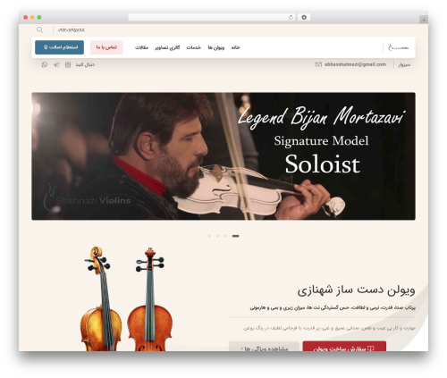 Dzs zoomsounds WordPress plugin - shahnaziviolins.com