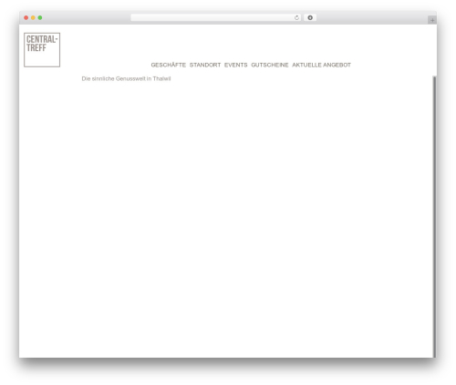 Studio premium WordPress theme - central-treff.ch