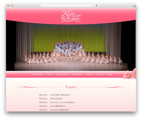 wordpress best WordPress theme - koikeballet.com