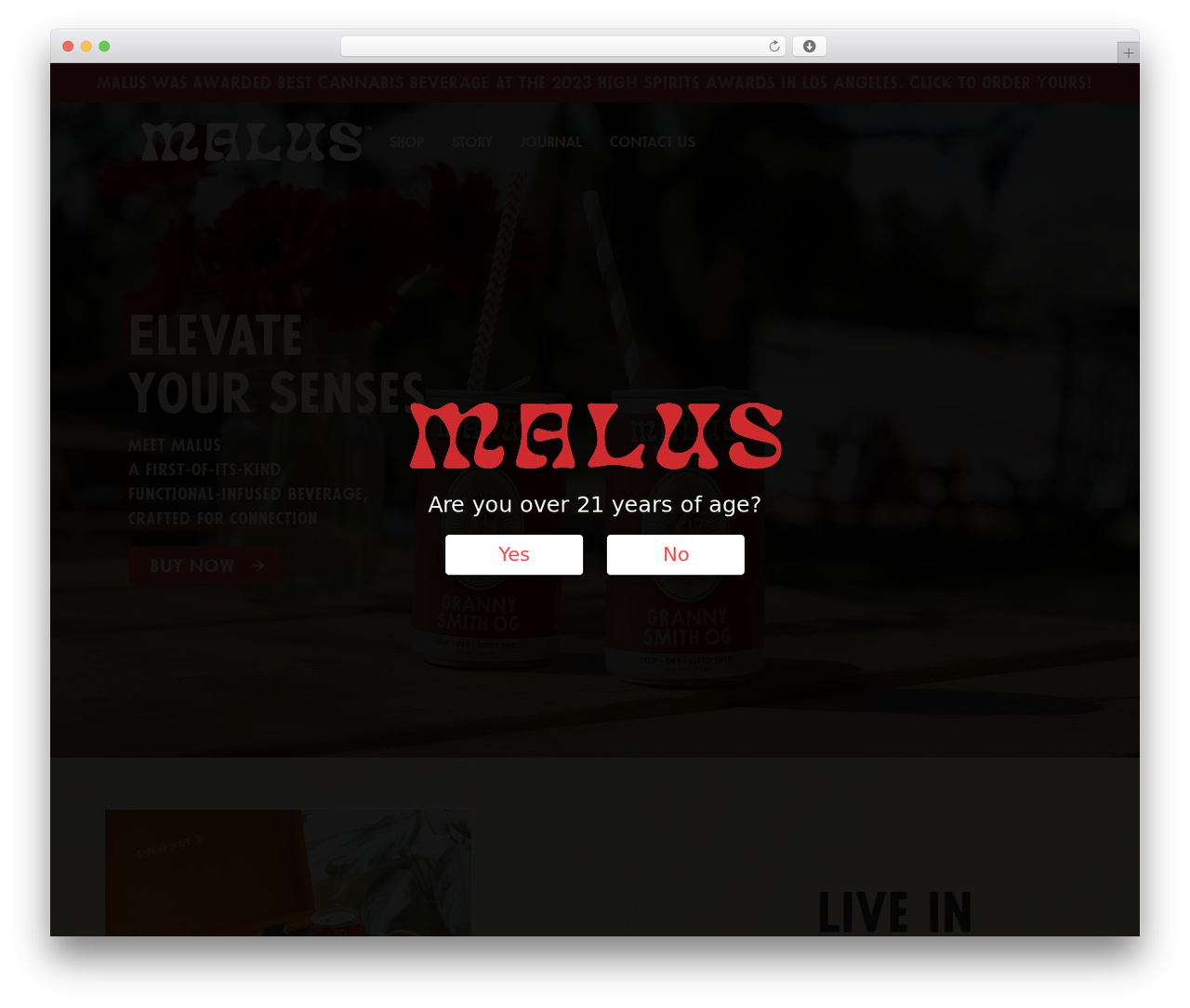 Beaver Builder Theme WP theme - drinkmalus.com Beaver Builder Theme WP theme - drinkmalus.com