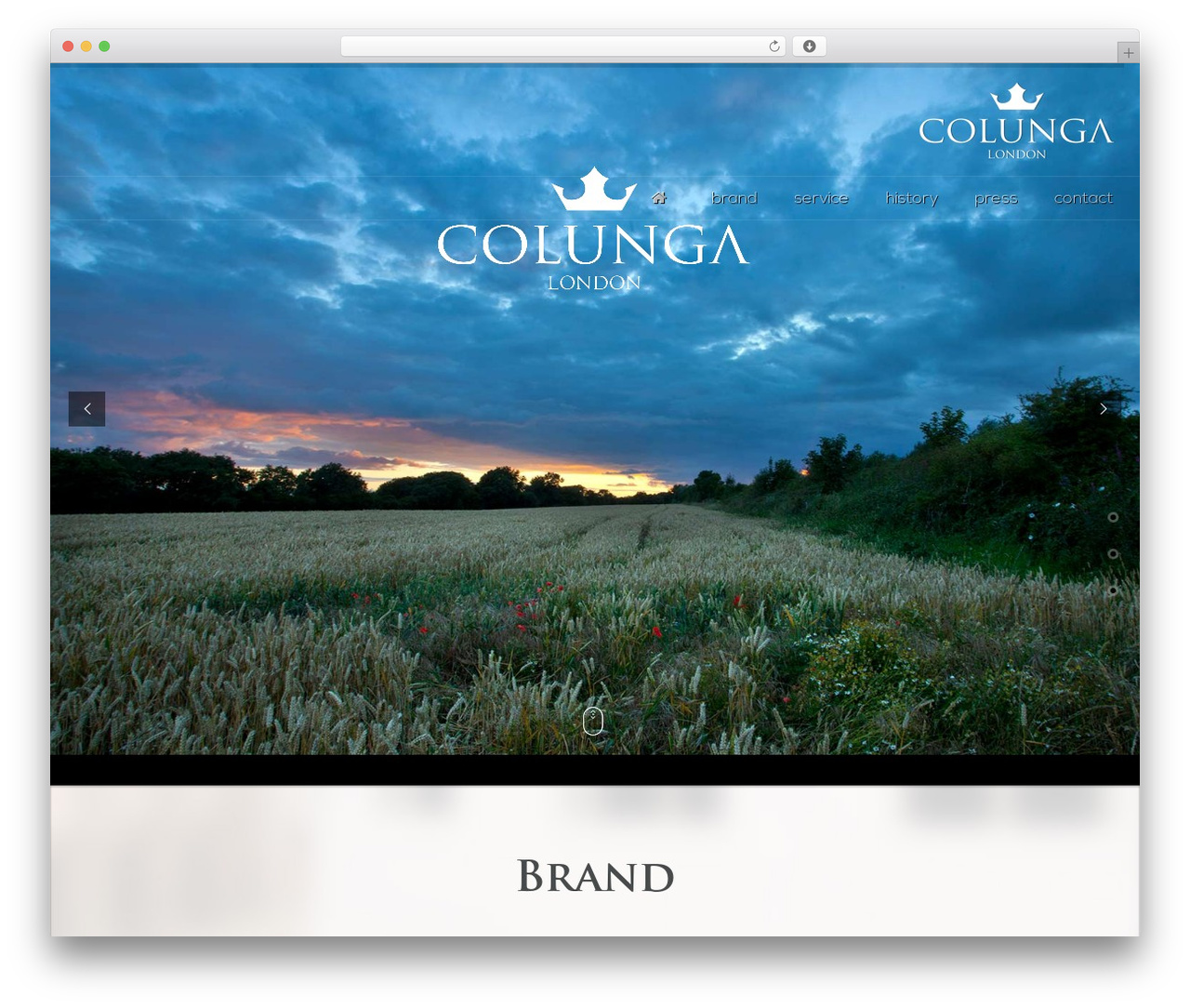 Lambda Child Theme WordPress theme - colungalondon.com