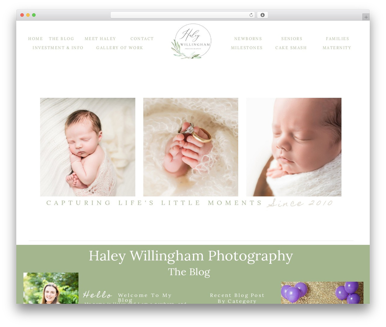 Showit WordPress theme - haleywillinghamblog.com