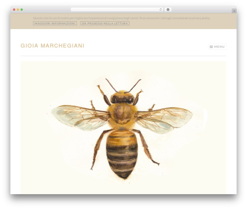 Sketch theme WordPress - marchegiani.com