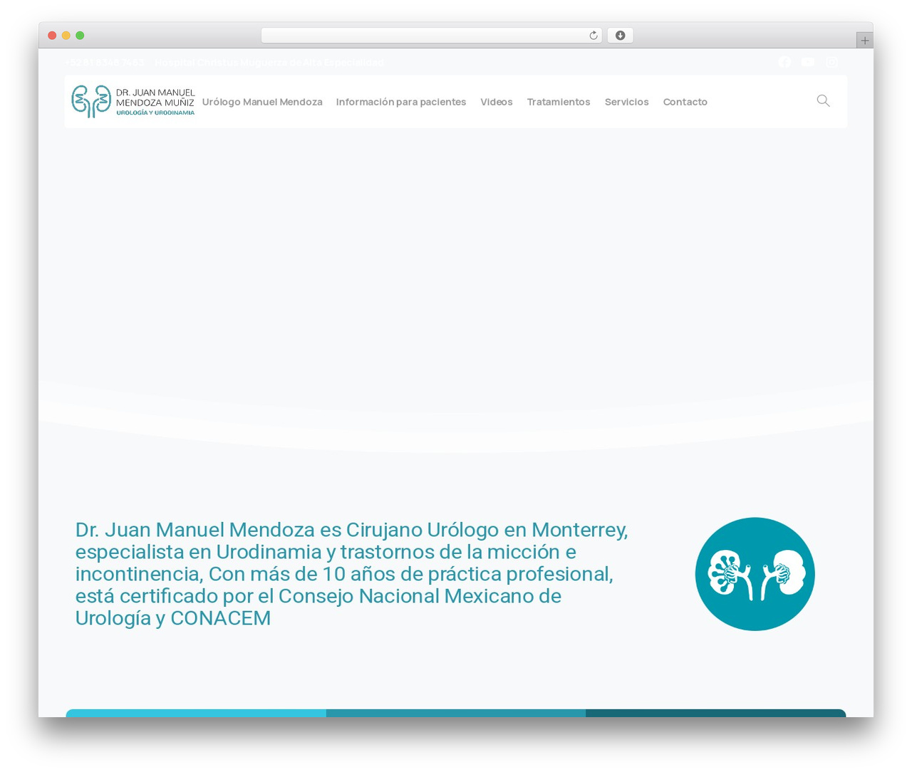 Theme WordPress Essentials - urologomanuelmendoza.com