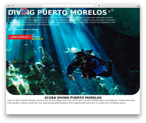 Bit assist WordPress plugin - omdelfin.com