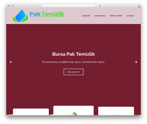 Exqute WordPress theme - bursatemizliksirketleri.com