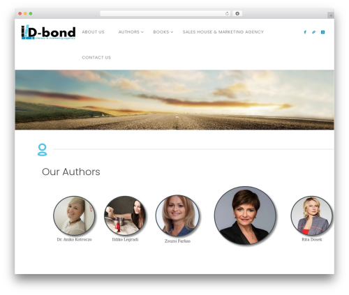 All_around WordPress plugin - dbondagency.com