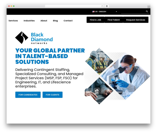 Hello Elementor theme WordPress - blackdiamondnet.com