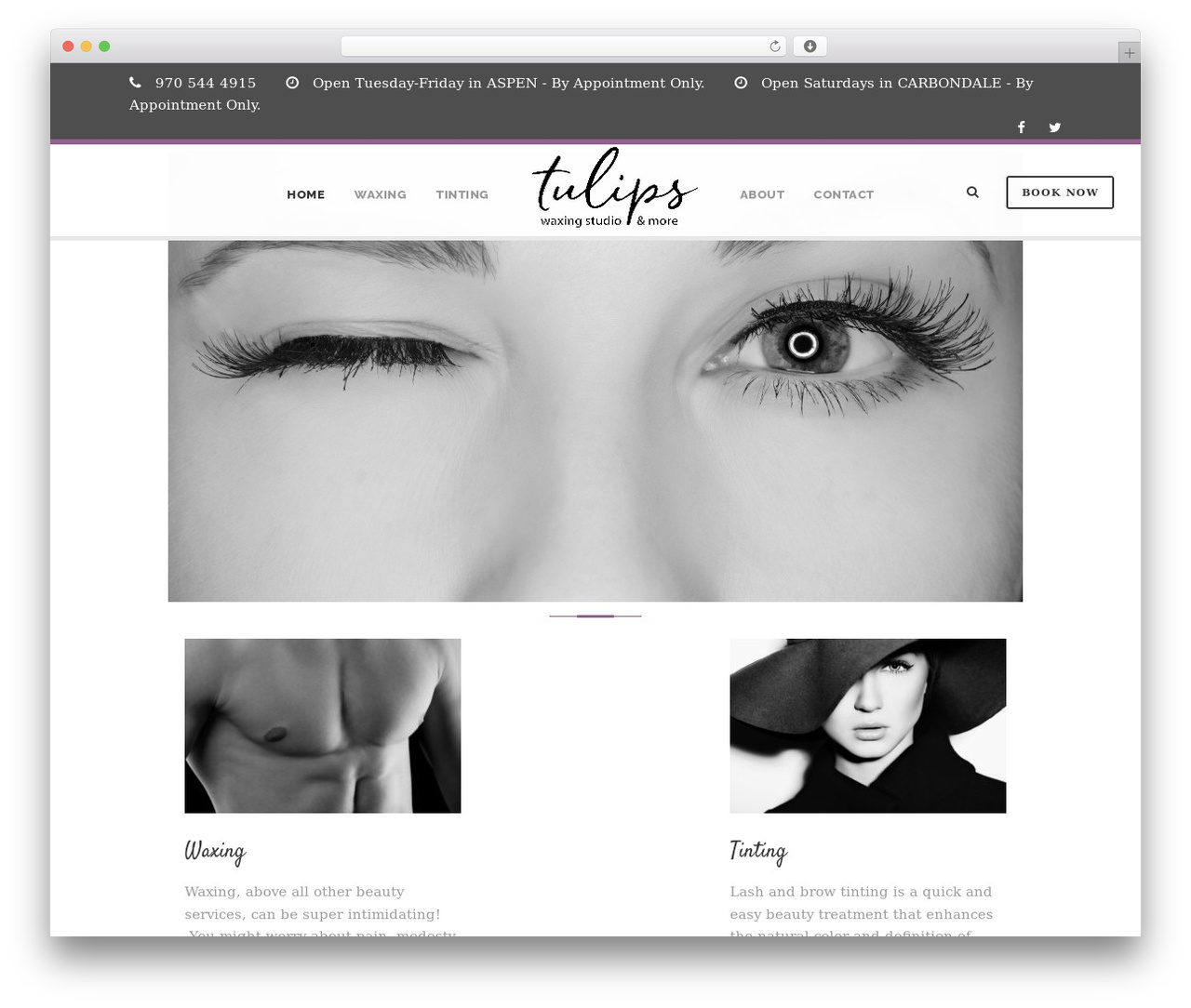 Infinite WordPress theme - tulipswaxing.com