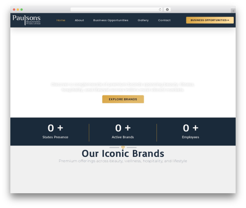 Easy optimizer WordPress plugin - paulsons.in