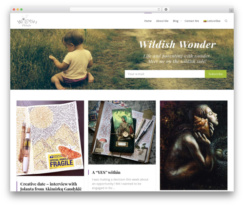 Gravityforms main WordPress plugin - wildishwonder.com