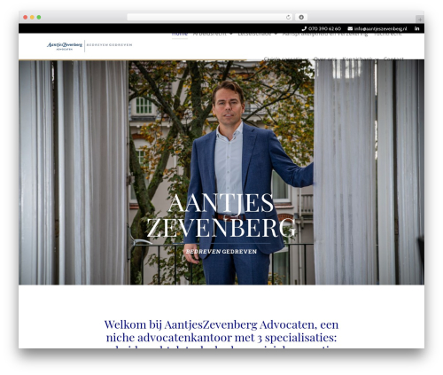 LEVELUP WordPress theme - aantjeszevenberg.nl