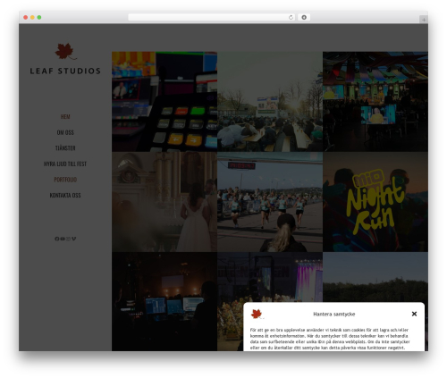 Codeless framework WordPress plugin - leafstudios.se