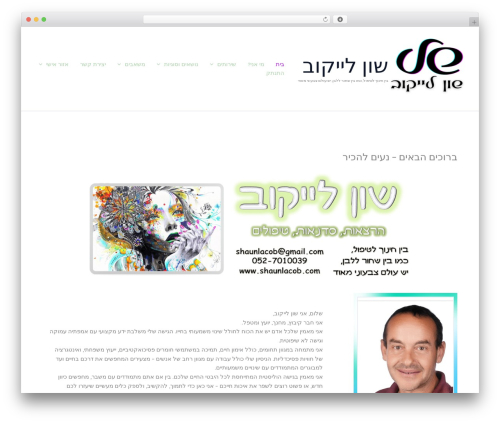 Adobe embedded pdf viewer WordPress plugin - shaunlacob.com