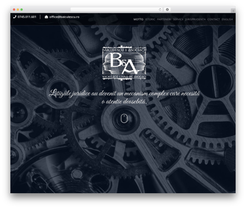 Encode Theme WordPress theme - baiculescu.ro