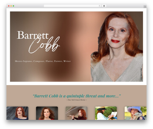 Theme WordPress Divi - barrettcobb.com