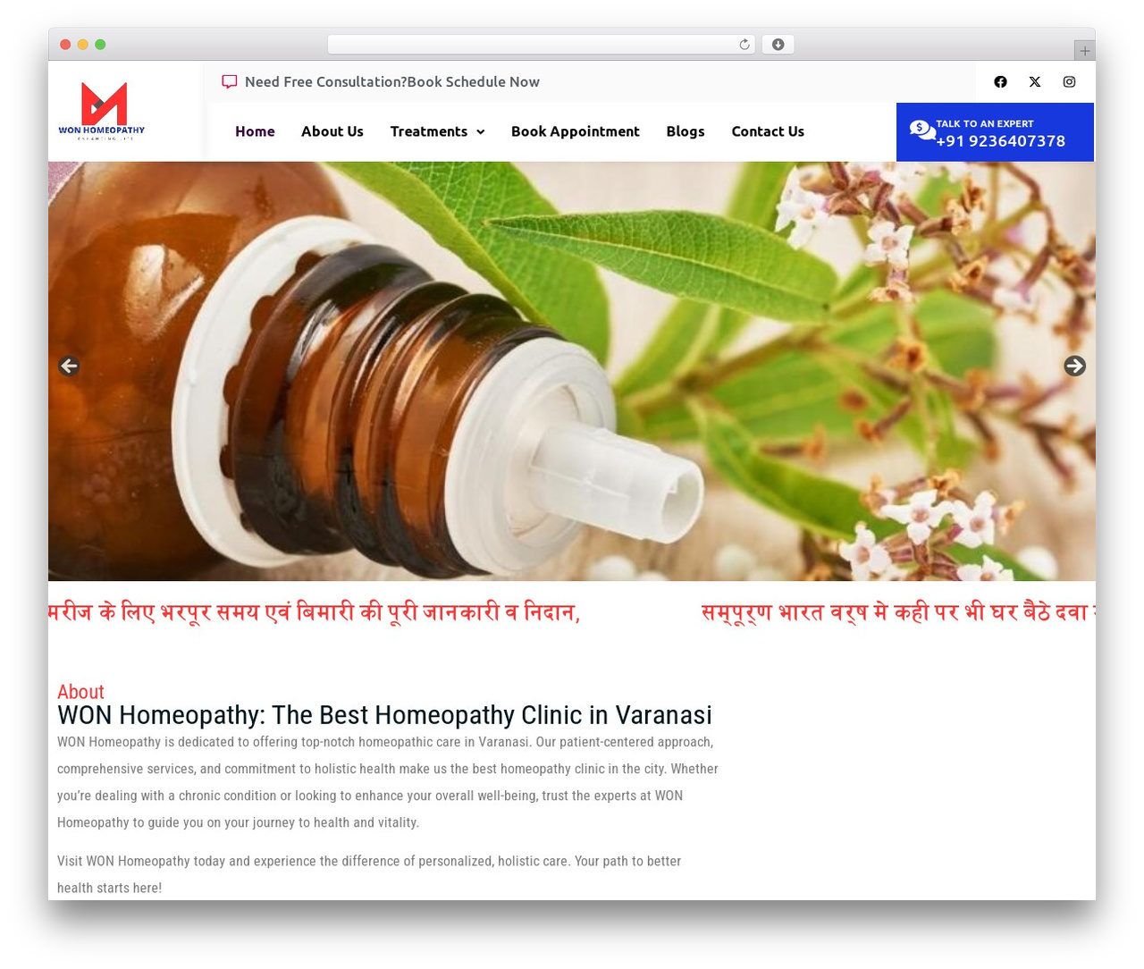 WordPress theme Hello Elementor - wonhomeopathy.com