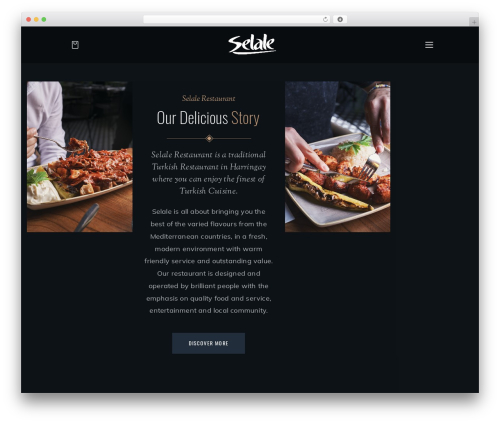 Benoit core WordPress plugin - selale.co.uk