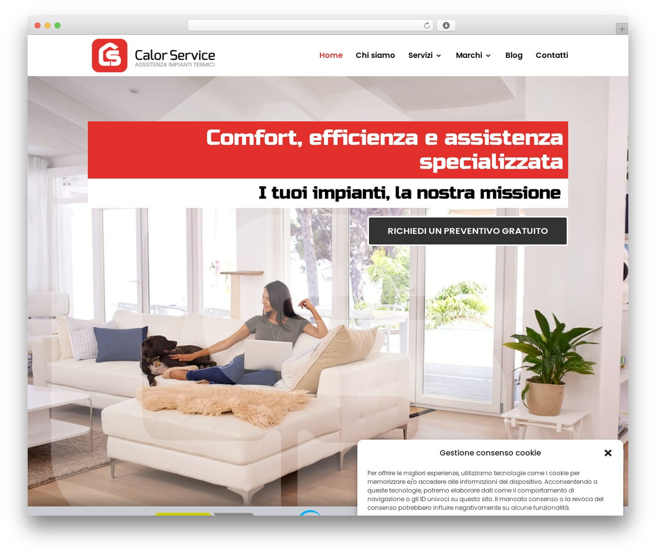 WordPress theme Divi - calorservice.com