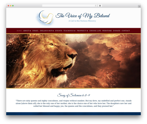 X email mailchimp WordPress plugin - thevoiceofmybeloved.com
