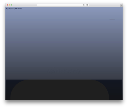 Lw cookie WordPress plugin - fabricor.hu