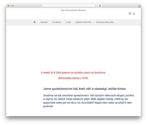 Googledriveembedder enterprise WordPress plugin - cbricany.cz