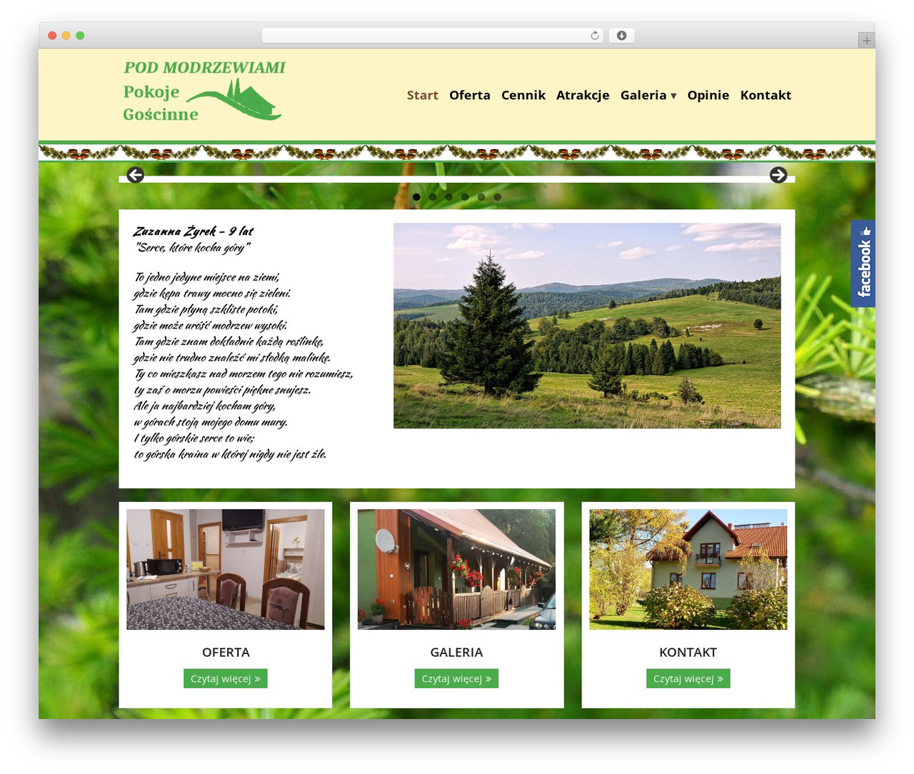 met theme WordPress - podmodrzewiami.com