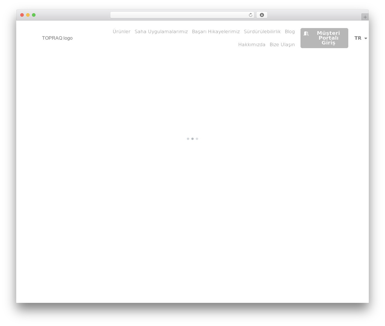 WordPress theme Hello Elementor - www.topraq.ai