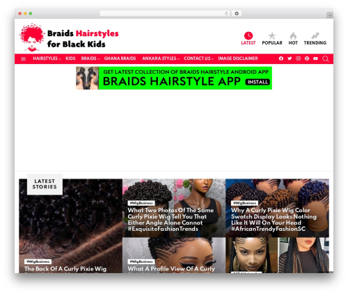 Ad ace WordPress plugin - www.braidshairstylesforblackkids.com