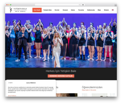 Cmsmasters content composer WordPress plugin - yetiskinbale.com