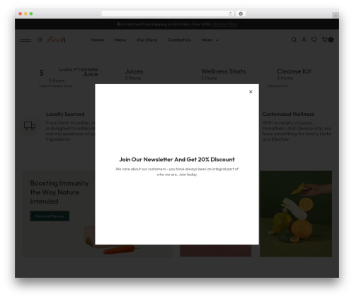 Storegrid WordPress theme - fani8.com