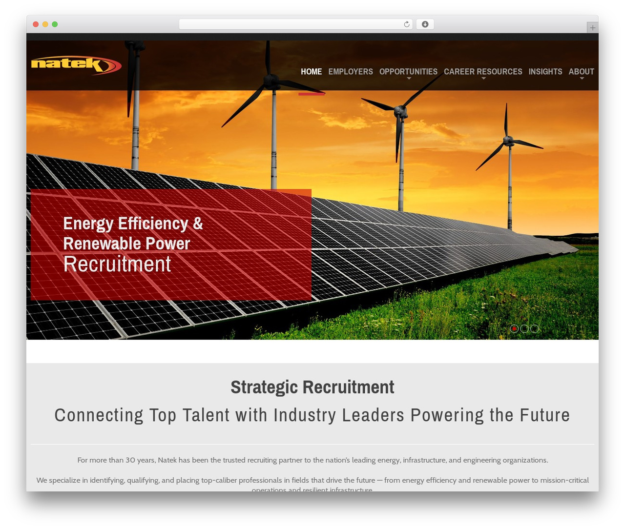 WordPress theme cherry - natek.com WordPress theme cherry - natek.com