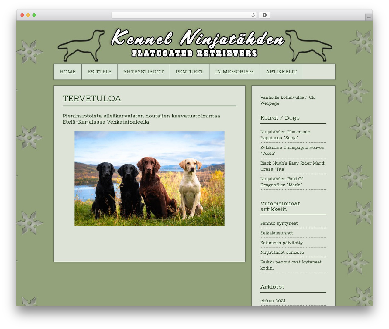 WordPress theme Contango - ninjatahden.com WordPress theme Contango - ninjatahden.com