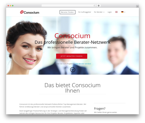 WordPress theme Divi - consocium.com