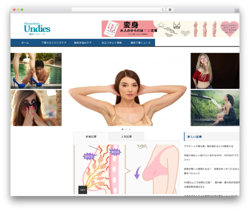 DrawIt (draw.io) (drawit) free WordPress plugin - muneshiri.com DrawIt (draw.io) (drawit) free WordPress plugin - muneshiri.com