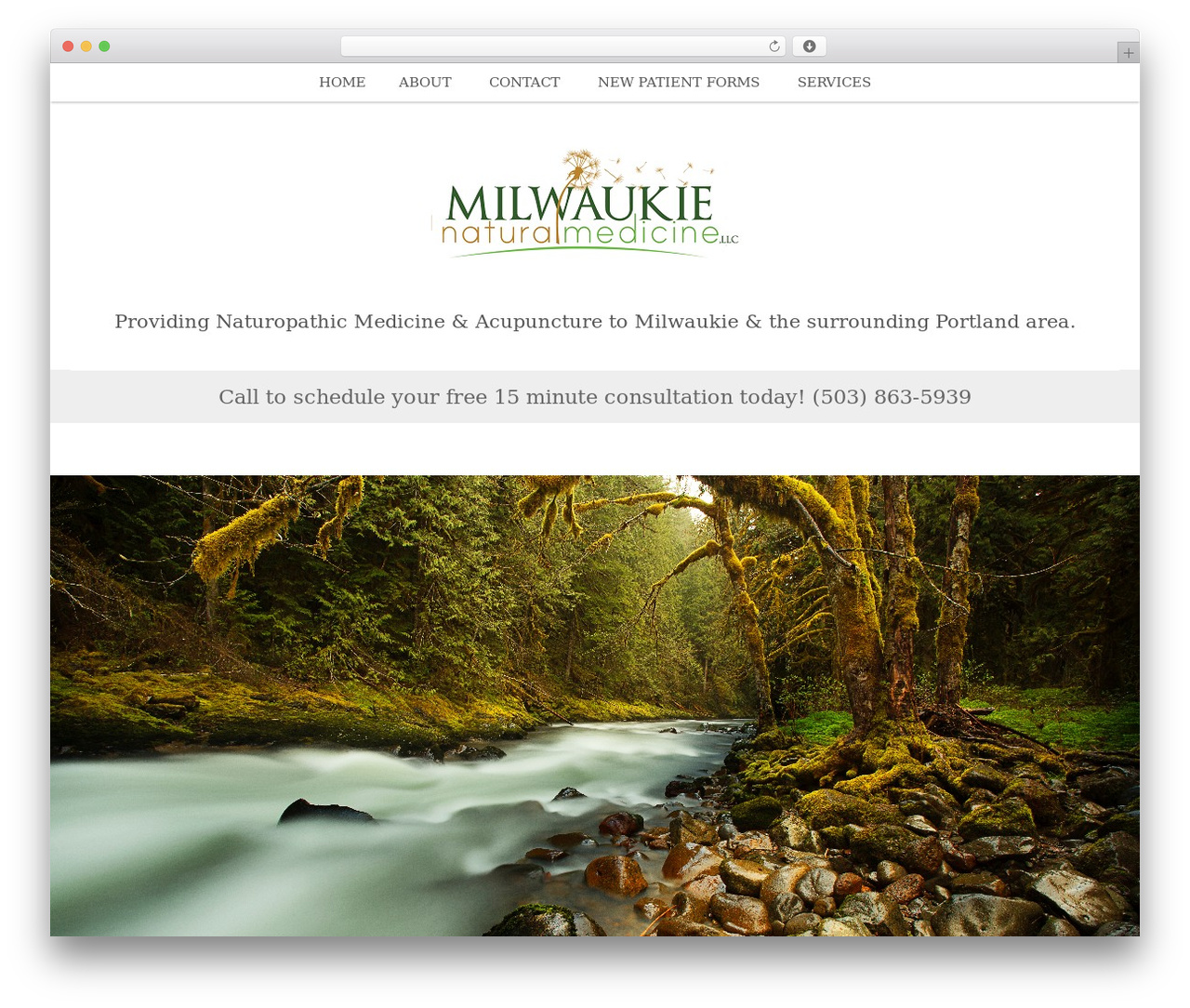 WordPress theme Nectar - milwaukienaturalmedicine.com