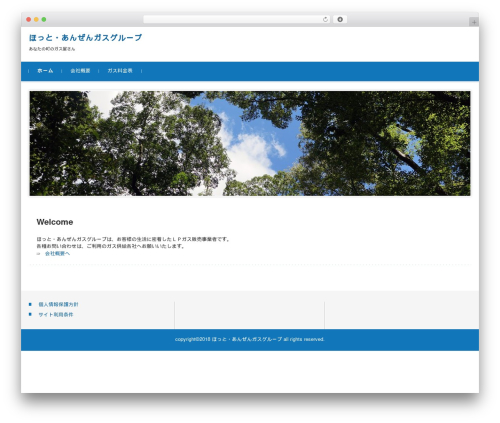 FSVBASIC premium WordPress theme - hot-anzen.com