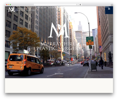 Abm_gallery WordPress plugin - murrayhillplasticsurgery.com