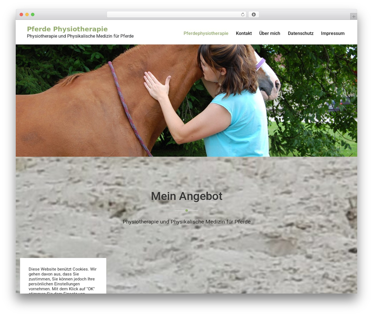 MediHealth WordPress theme download - pferde-physiotherapie.at