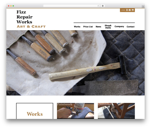 Custom article WordPress plugin - fizz-r.com