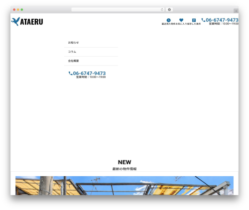 Tcd classic editor WordPress plugin - ataeru.ltd