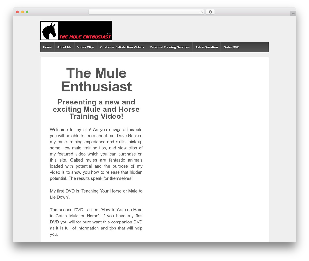 Responsive best WordPress theme - themuleenthusiast.com Responsive best WordPress theme - themuleenthusiast.com