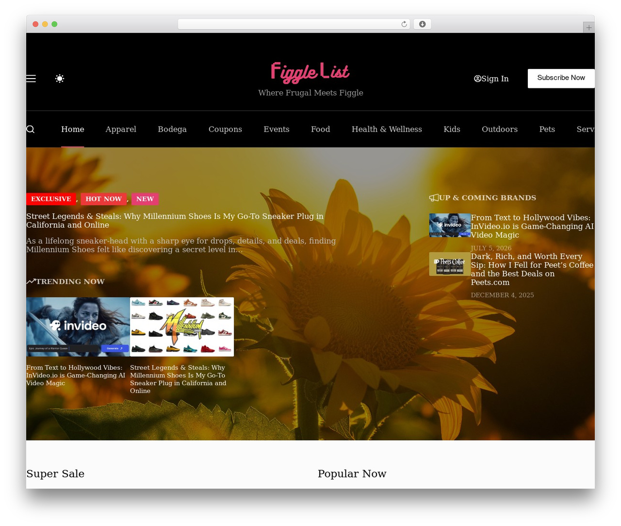 Theme WordPress Blocksy Child - figglelist.com