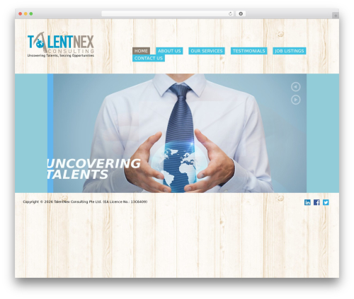 WP theme Bootstrap Basic - talentnex.com
