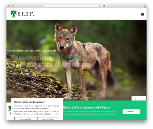LabtechCO theme WordPress - sief.it