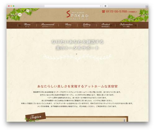 Themify Basic theme WordPress - h-spread.com